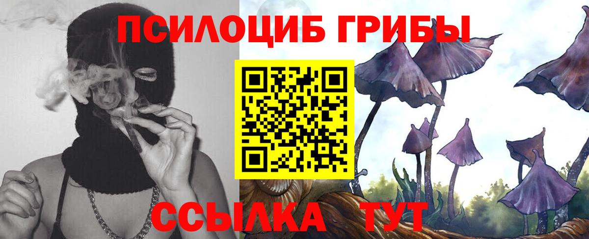 Галлюциногенные грибы Cubensis  цены   Мценск  Вход с VPN 